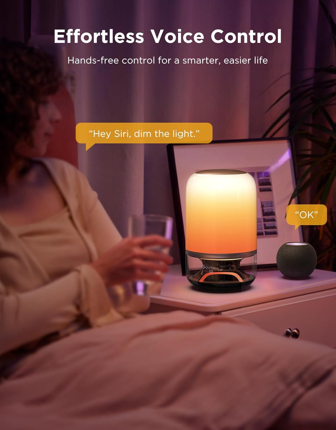 Govee x JBL - Table Lamp 2 Pro with Speaker